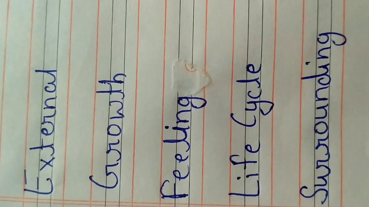 Class 3 Science ch1 Questions and answers video4 - YouTube