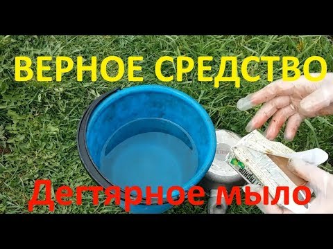 ВЕРНОЕ СРЕДСТВО от