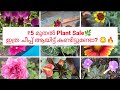 Plants ഏറ്റവും കുറഞ്ഞ വിലയിൽ തന്നെ വാങ്ങൂ 💥|Cheap rate |orchidaisle