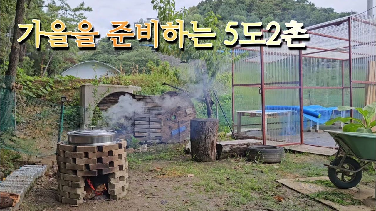 31. 하찮게 보던것도 다시 보니 귀한것이 였네~‼️가을을 준비하는 5도2촌 🧑‍🌾