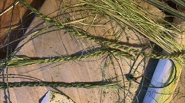 Yucca cordage making from start to finish