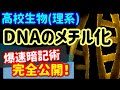 【高校生物 115】【DNAのメチル化】を宇宙一わかりやすく
