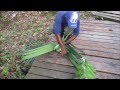 GUYANE. L'art de tresser les feuilles de palmier GUYANE. L'art de tresser les feuilles de palmier