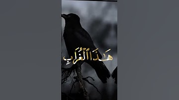 #اكسبلور #المصحف #تلاوة_خاشعة #hollyquran #حالات_واتس #قرآن #whowillbemylifepartnerta