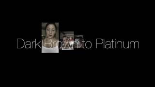 Dark Brown To Platinum In 8 Hours