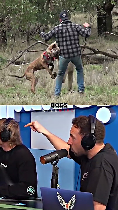 Mike Tyson Laughs at Kangaroo