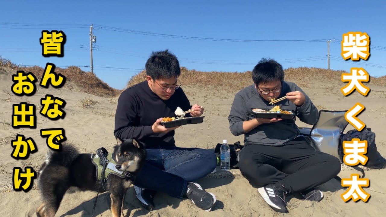 柴犬くま太 お弁当を持って 皆んなでお出かけする休日 - YouTube