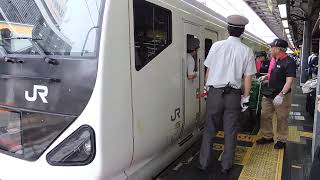 E257系0番台　M-115編成　特急　かいじ号　新宿駅到着　2018/05/26