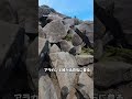 白駒池から高見石へ|想像以上にきつかった北八ヶ岳トレッキング
