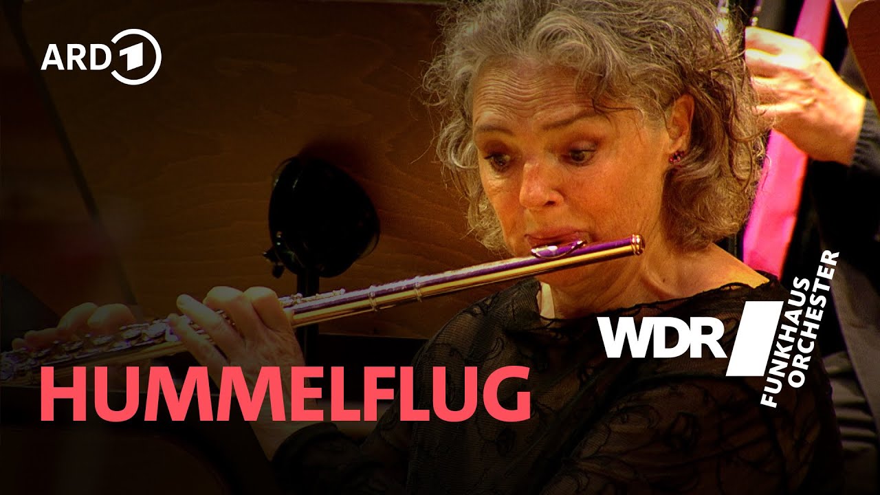 Hummelflug Nikolaj RimskijKorsakow WDR Funkhausorchester YouTube