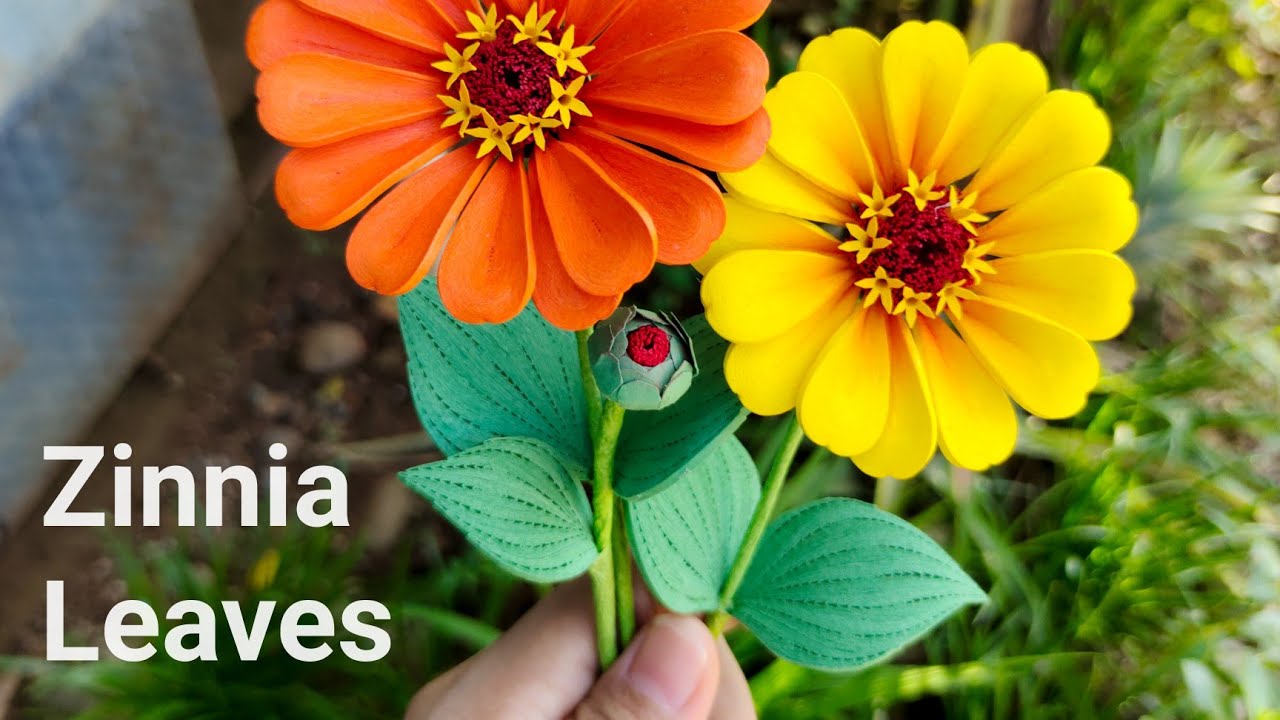 How To Make Paper Quilling Leaf [Quilled Zinnia Leaf [DIY [Paper