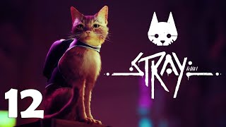 Stray // Chapter 12 // Control Room // 100% // All Collectibles // No Commentary