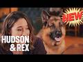 Hudson Rex Season Hudson Rex Full Episodes 2026 New Today Hudson Rex Full Episode A11 Hudson Rex Season Hudson Rex Full Episodes 2026 New Today Hudson Rex Full Episode A11