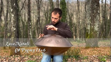 MrPans handpan - C# Pygmy 11+6 - Luca Natali