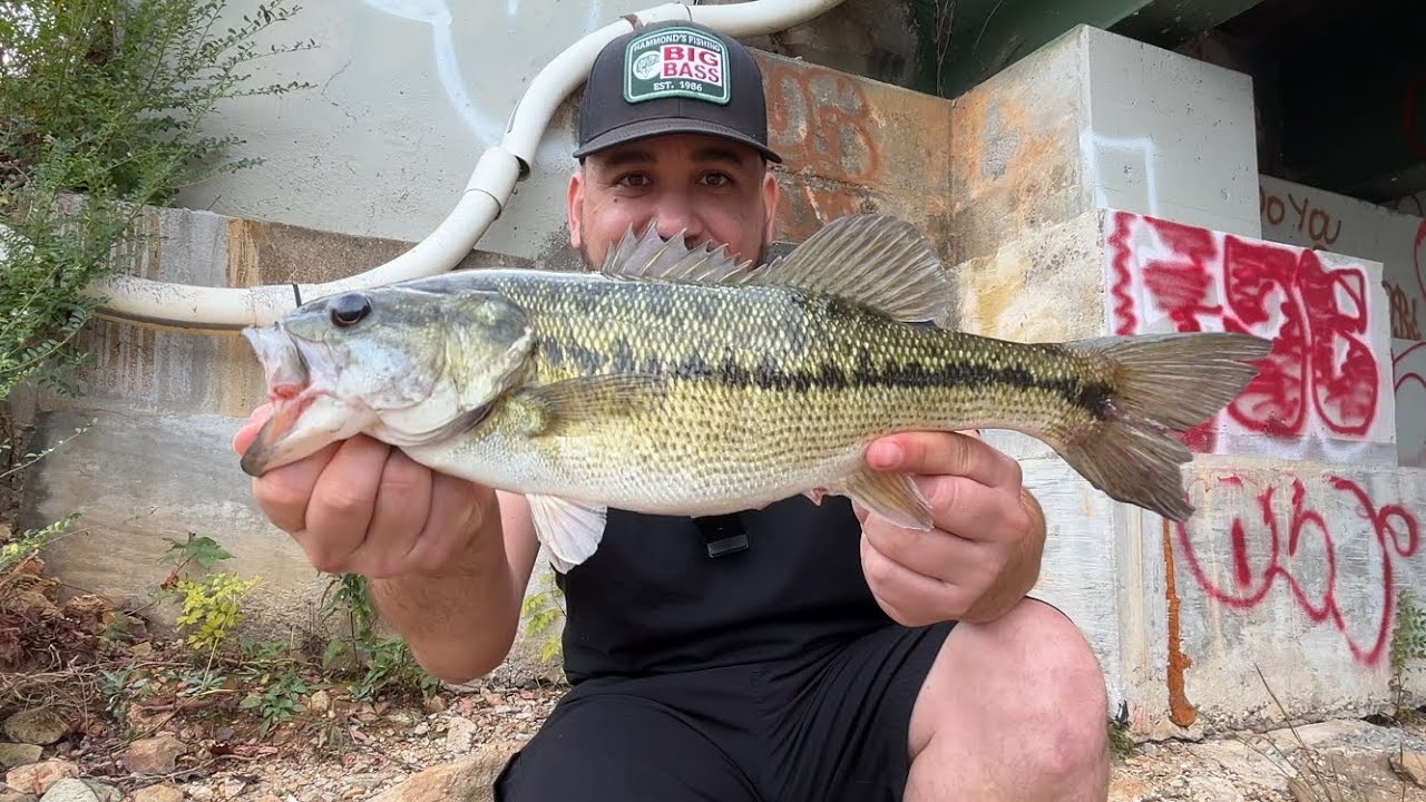 November Lake Lanier Bass Bank Fishing