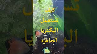 طريقه استعمال البكتريا الجاهزه ( Seacham Stability )