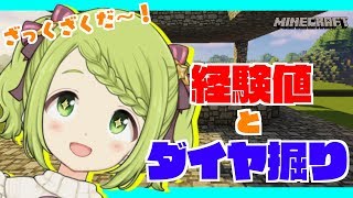 経験値とダイヤ掘りでざっくざくだ〜！【マイクラ】