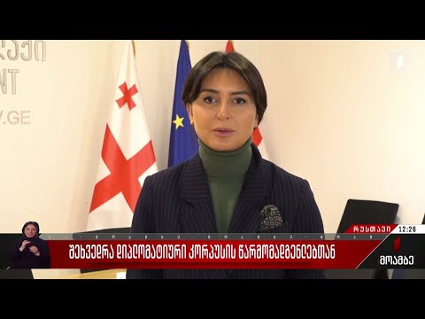 შეხვედრა დიპლომატიური კორპუსის წარმომადგენლებთან