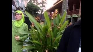 Ifroh Ya Albi by Hj. Rahmawati Jamal MA
