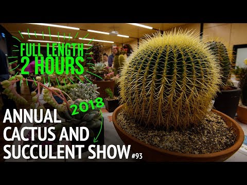 #93 The 2018 Cactus and Succulent Society of Australia Competition | FULL VIDEO