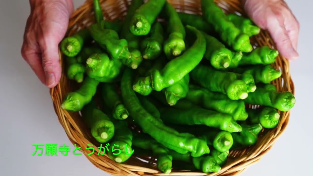 夜久野発!京野菜の強者達