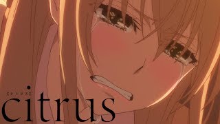 Bad Big Sister Citrus