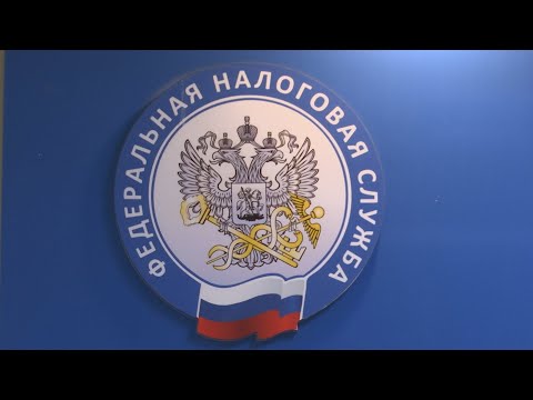 Подача налоговых деклараций в 2021 году