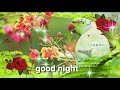 GOOD night viral video  - Whatsapp, status  Wishes, Quotes, Message Greetings full HD biutiful image