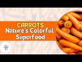 Unlocking the power of carrots health benefits and nutritional insights