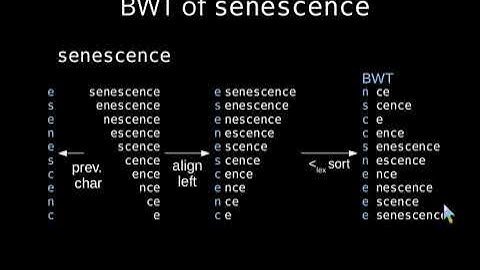 Constructing the Bijective Burrows-Wheeler Transform in Linear Time
