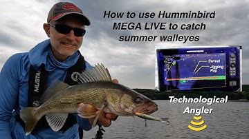 Use Humminbird MEGA Live and Jigging Raps to Catch Summer Walleyes
