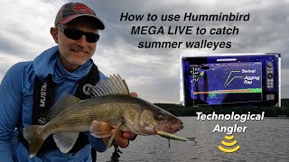 Use Humminbird MEGA Live and Jigging Raps to Catch Summer Walleyes