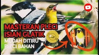 MASTERAN PLECI NGALAS GELATIK TERBARU 2022🏆🏆🏆Pleci Tembakan Glatik‼️