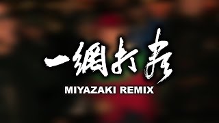 一網打尽-MIYAZAKI REMIX-
