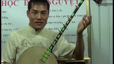 DẠY ĐÀN NGUYỆT CHO NGƯỜI DỐT CỰC DỐT p4.6 bài 5  CƠ BẢN 1