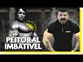 O treino de Peito PERFEITO