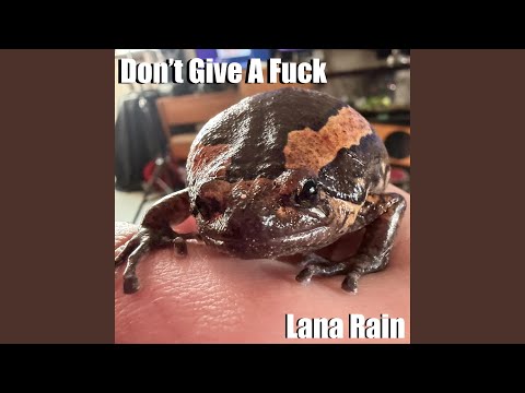 Don't Give A Fuck (completely recorded with DJI Mic2)
