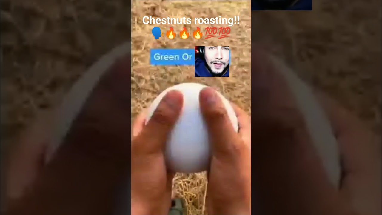 chestnuts roasting on a open fire 🗣️🔥🔥🔥💯