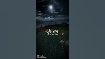 اجمل تلاوة ستسمعها اليوم✨ تعطيك طمأنينة لا توصف 🥺❤️#قرآن كريم  #تلاوة خاشعة #تلاوة مؤثرة #quran