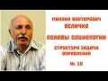 Михаил Величко - Основы социологии - Структура задачи управления Часть 10