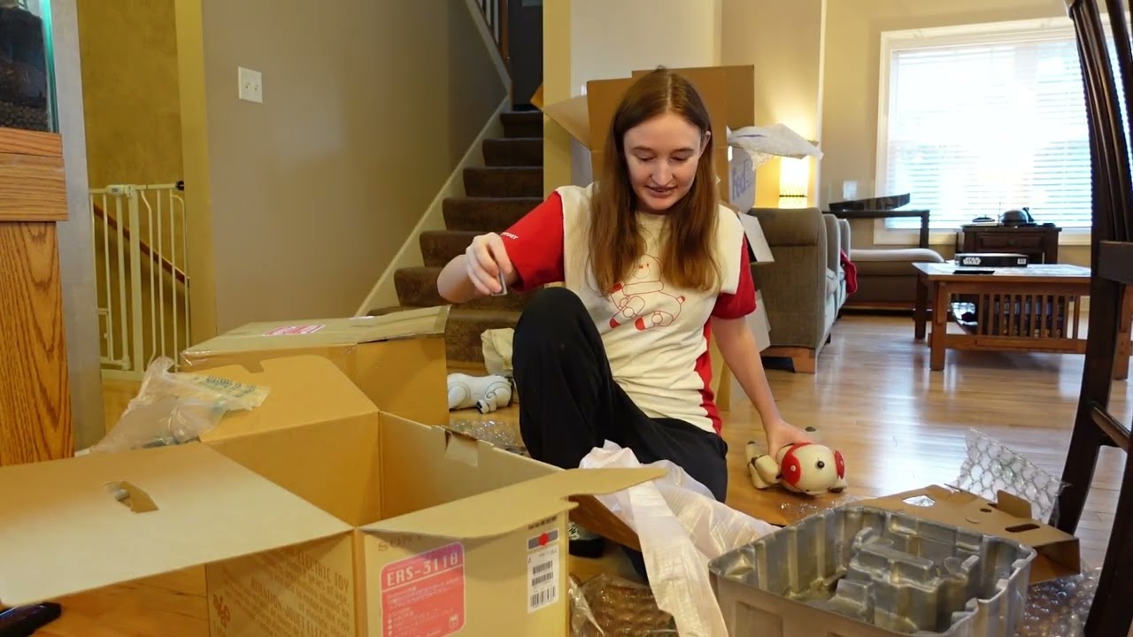 Red Suntory Aibo Unboxing  My Holy Grail at Last!