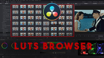 Tips การใช้ Davinci Resolve [เทคนิคที่25] - LUTs Browser คืออะไรหลอ