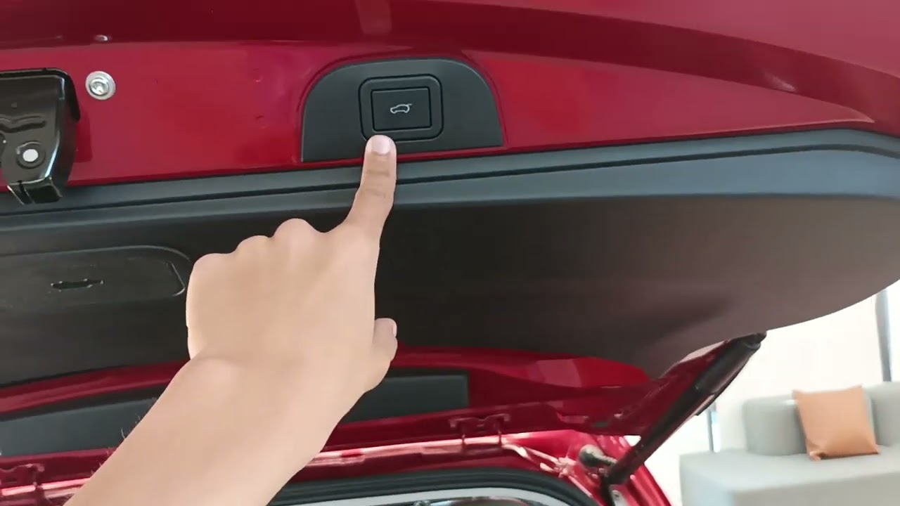 GWM Ora 03 GT - Entrega Técnica #GWM #Dahruj #gwmbrasil #OraGT #carroelétrico