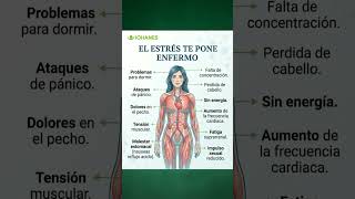 El Estrés Puede Enfermar Tu Cuerpo ⚠️🧠 Señales Que No Debes Ignorar