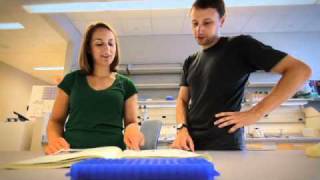 University Of Michigan Program In Biomedical Sciences Pibs