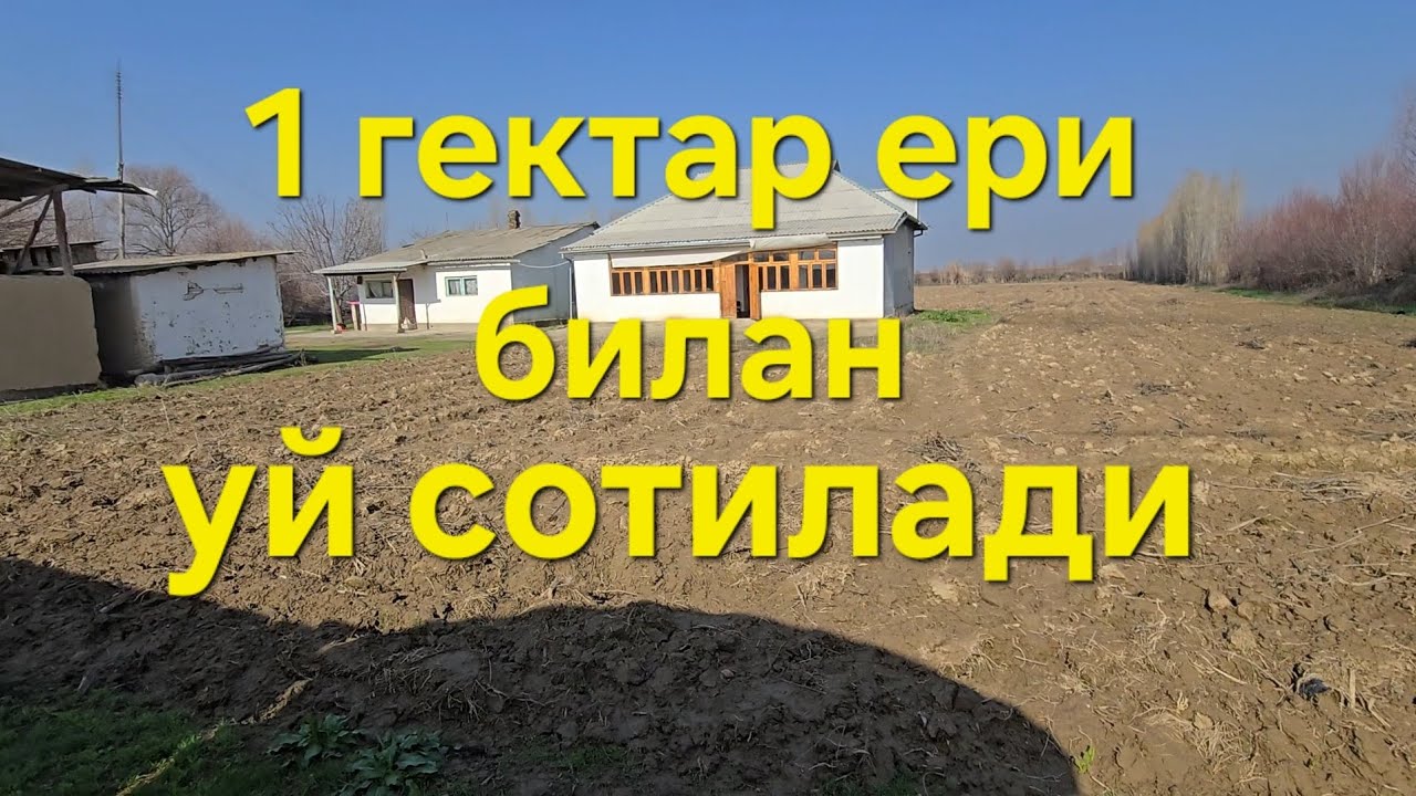 БАРАКА БОЛДИ 🤝🤝🤝