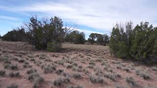 35 acres in apache county arizona for ...