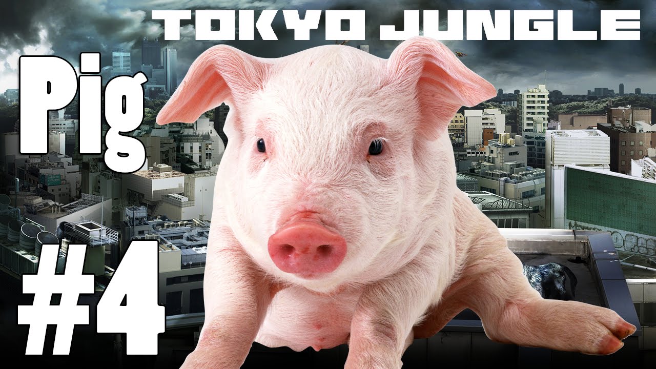 Tokyo Jungle: Pig Survive over 100 years Part 4 of 4