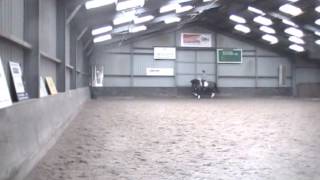 Earl Grey Decor Dreamcatcher X Whinny Jackson