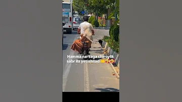 Rek Uzb Jannatga Oshiqlar Obuna Bolin хулоса узиздан достларим сог болилар 